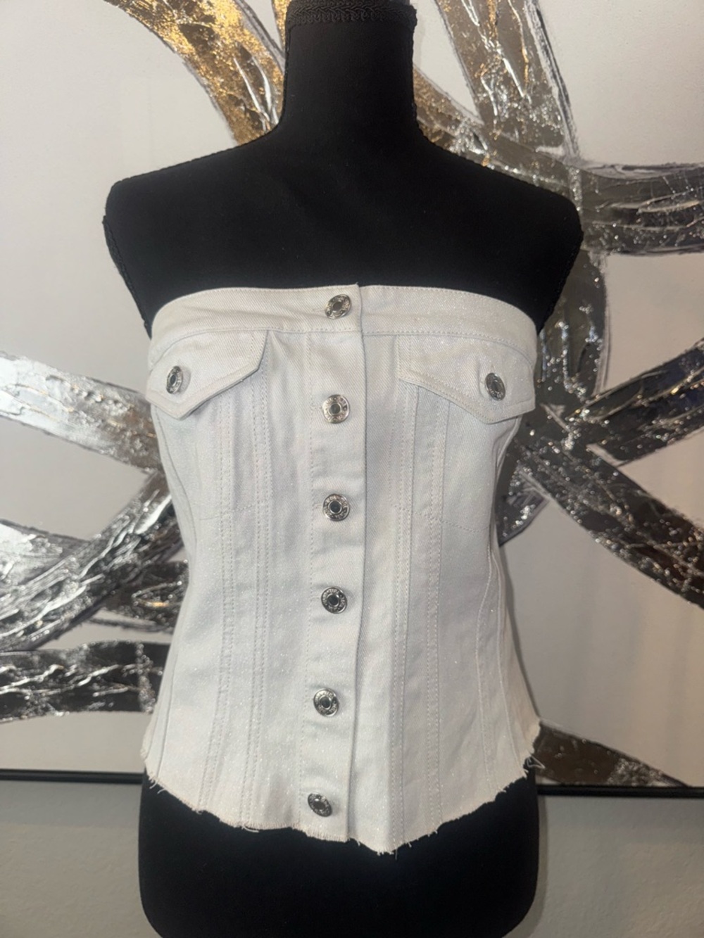 Zara Light Jean Cropped Corset Style Tube Top with Silver Shimmer